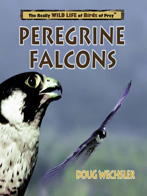Title details for Peregrine Falcons by Doug Wechsler - Available